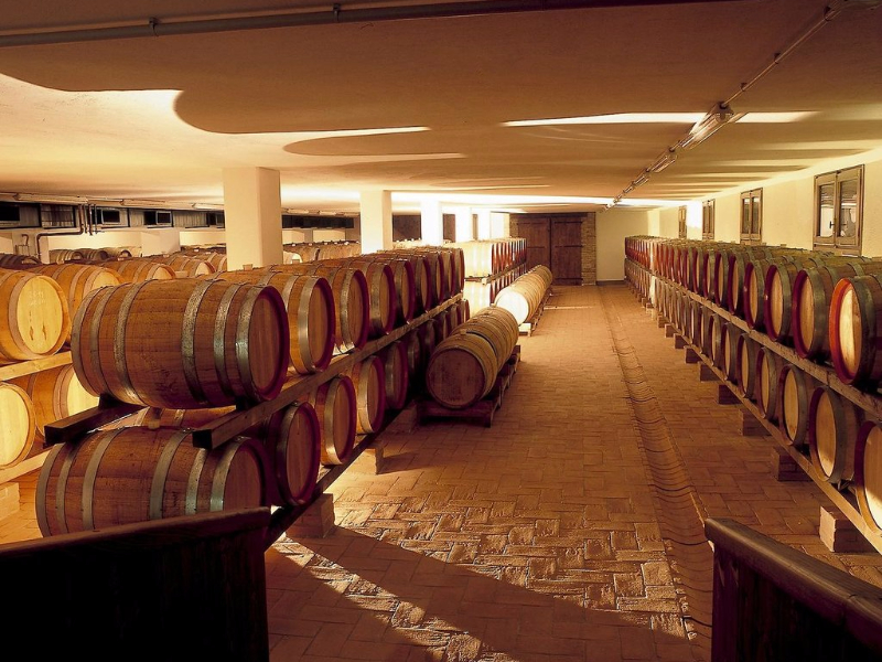 Cantine Paladin