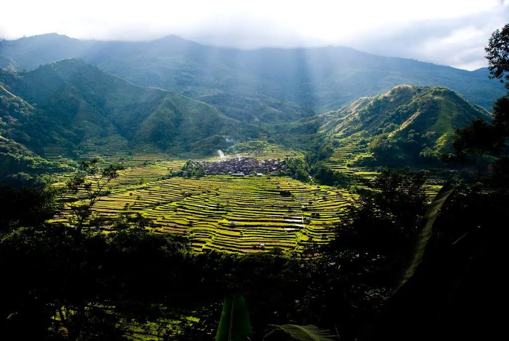 Lubo Rice Terraces