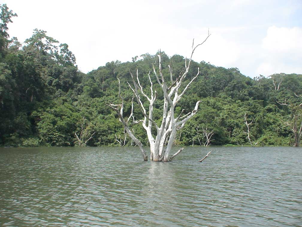 Lake Manguao
