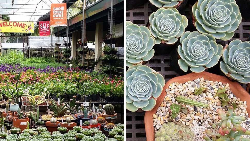 Cedarhills Garden Center