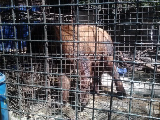 Malabon Zoo