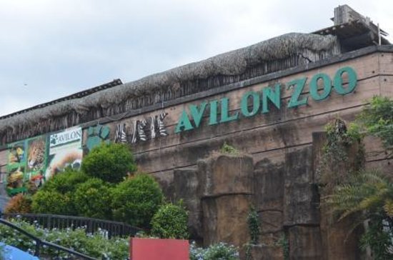 Ark Avilon Zoo