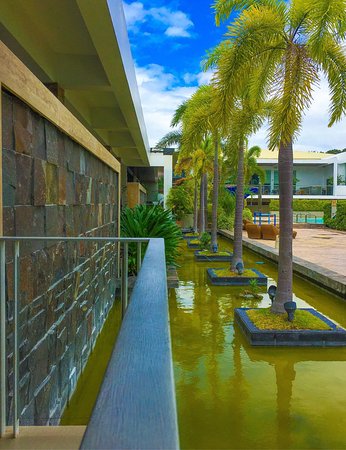 The Village Sports Club