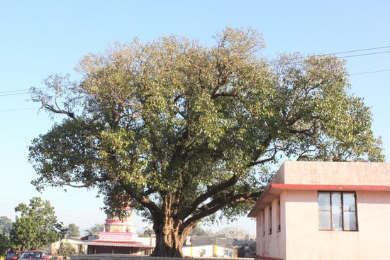 Bhairavnath Temple