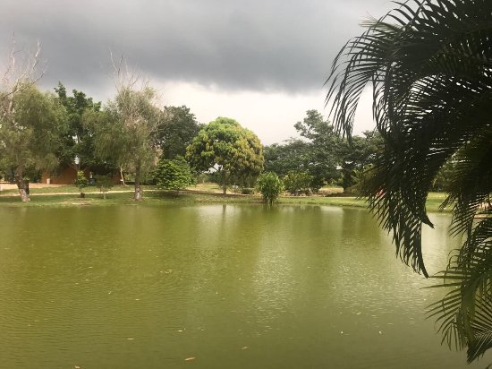 Vallazoo