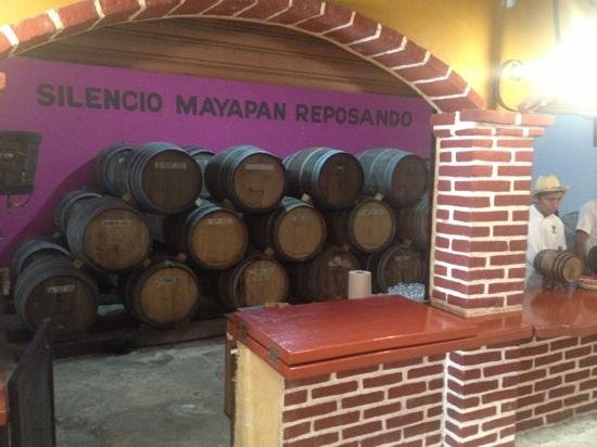 Mayapan Traditional Agave Distillery