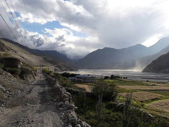 Mustang Outback Adventures