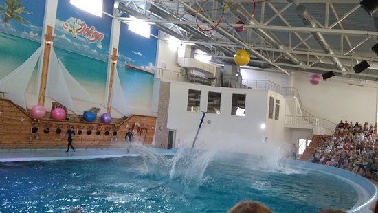 Dolphinarium Oskar