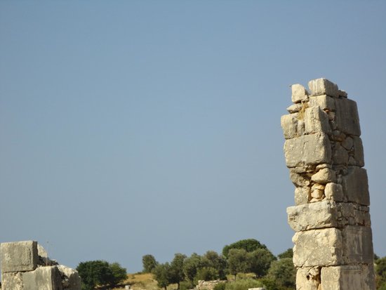 The Necropolis
