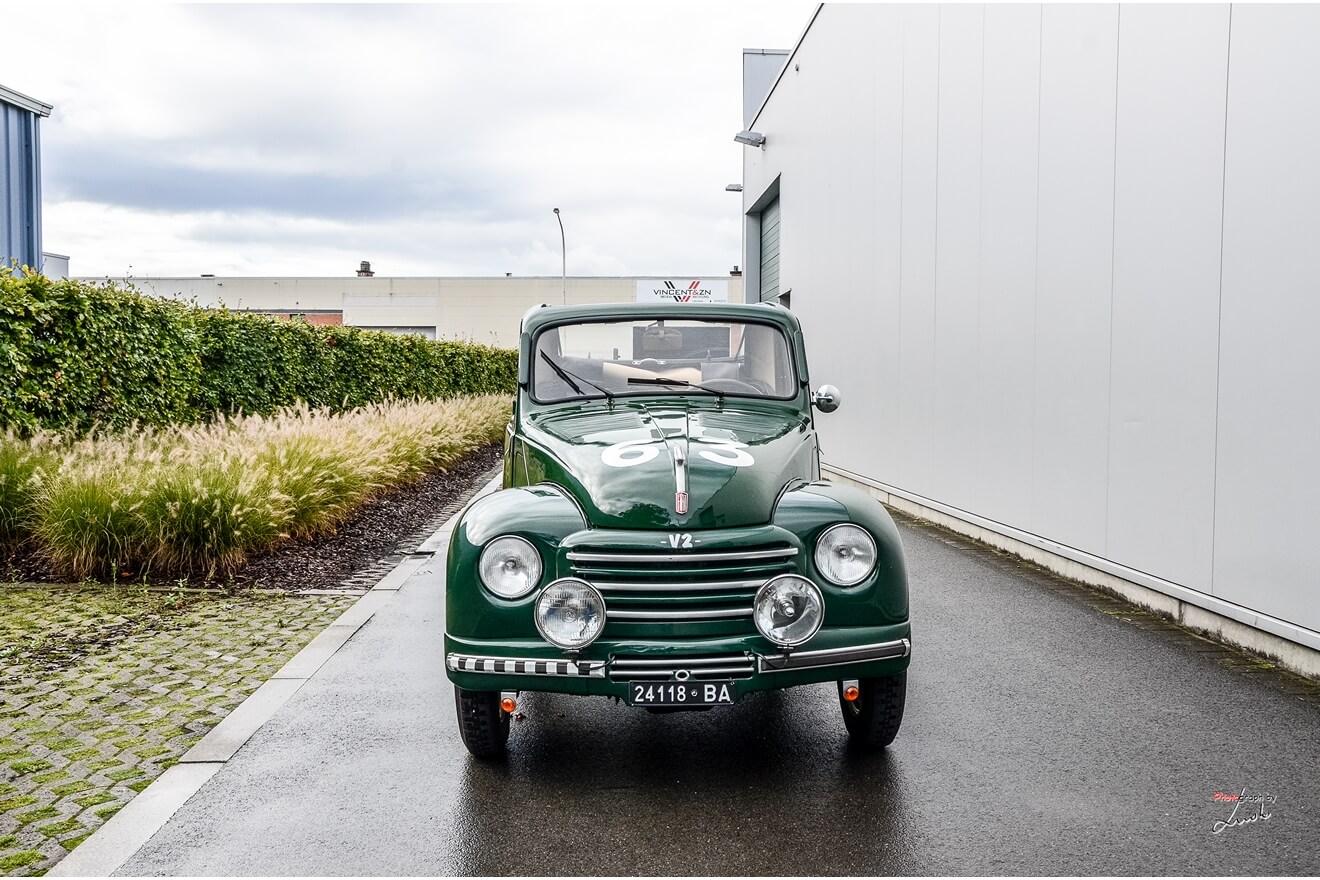 Topolino