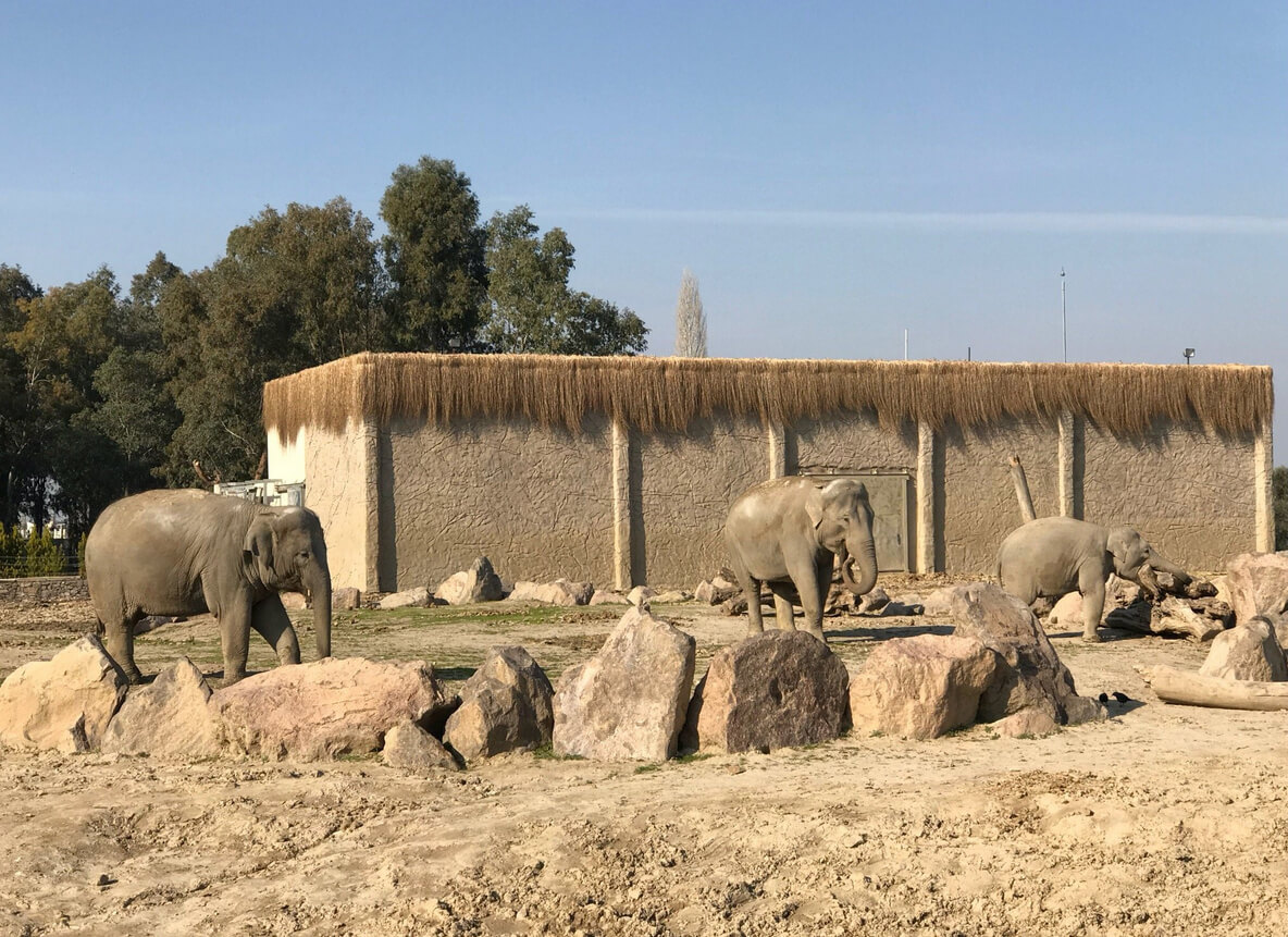 Izmir Wild Life Park
