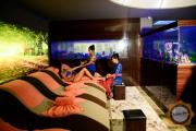 Caspian Salus Hamam Spa & Wellness
