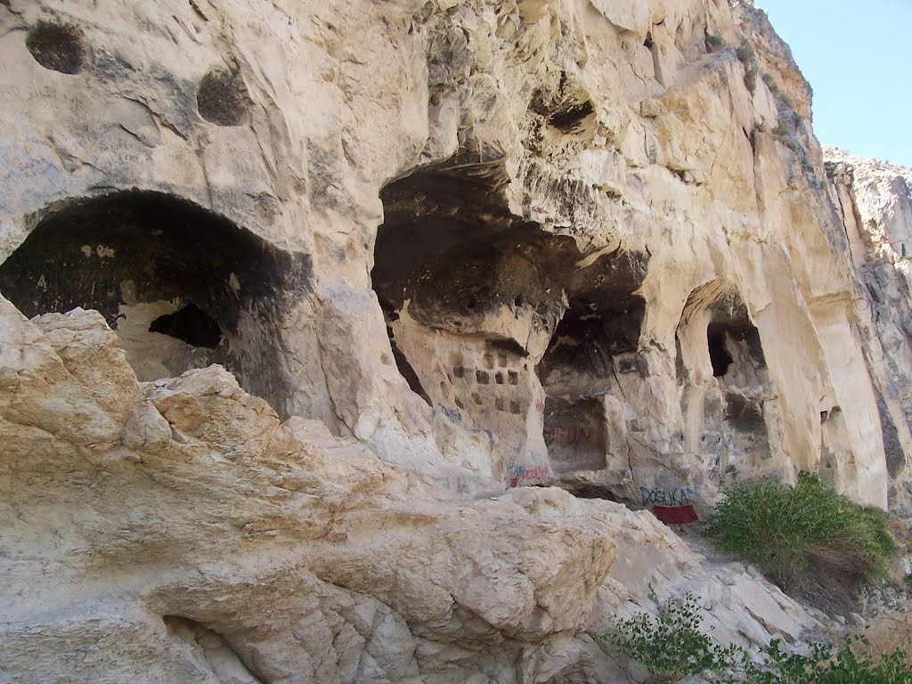 In delikleri