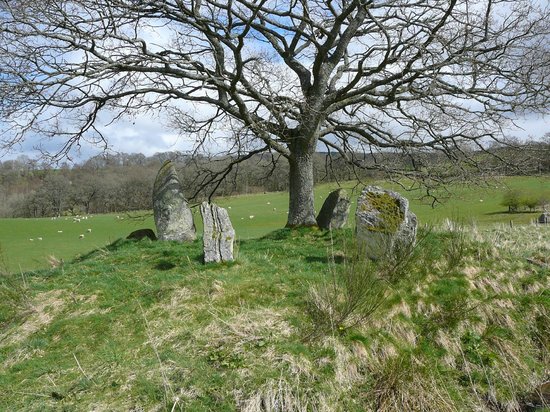 Lundin Farm Stone Circle
