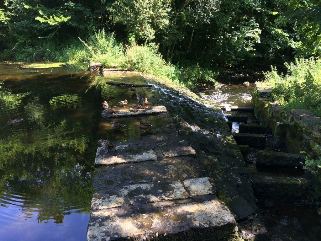 Outdoor Pictures 1