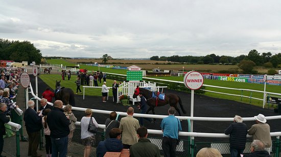 Sedgefield Racecourse