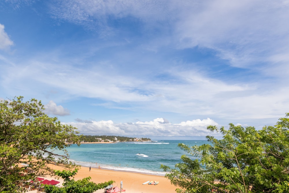 Sea Waves Tours
