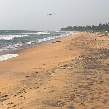 Sri Lanka Tapro Leisure