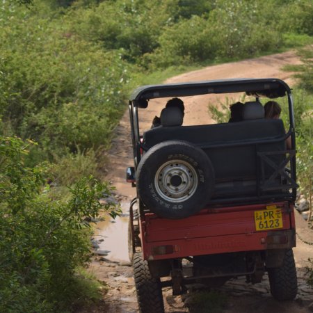 Ella Cabs Taxi Service