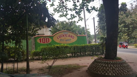 Lucky Land Spice & Herbals