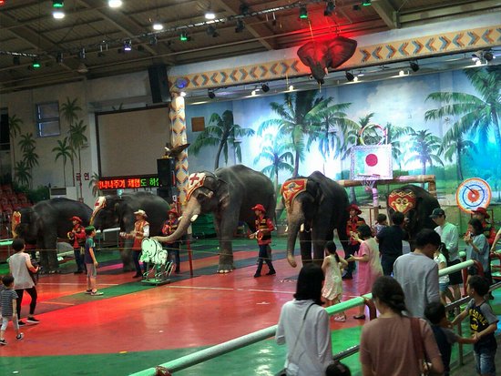 Jumbo Village