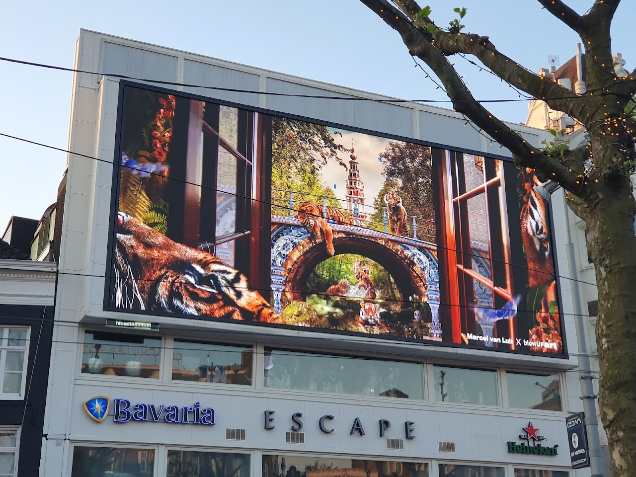 Escape Amsterdam