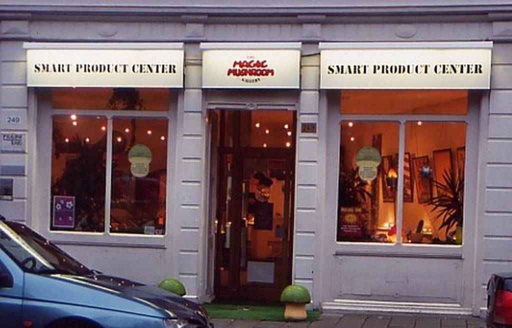 The Magic Mushroom Gallery