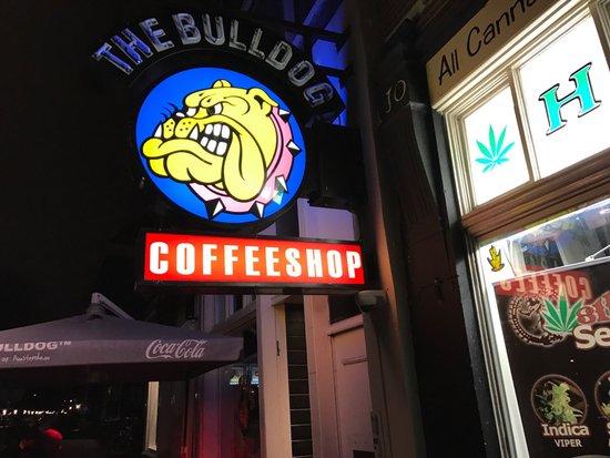The Bulldog Energy