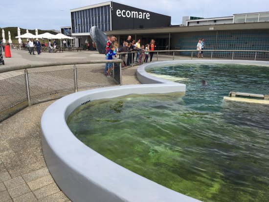Ecomare