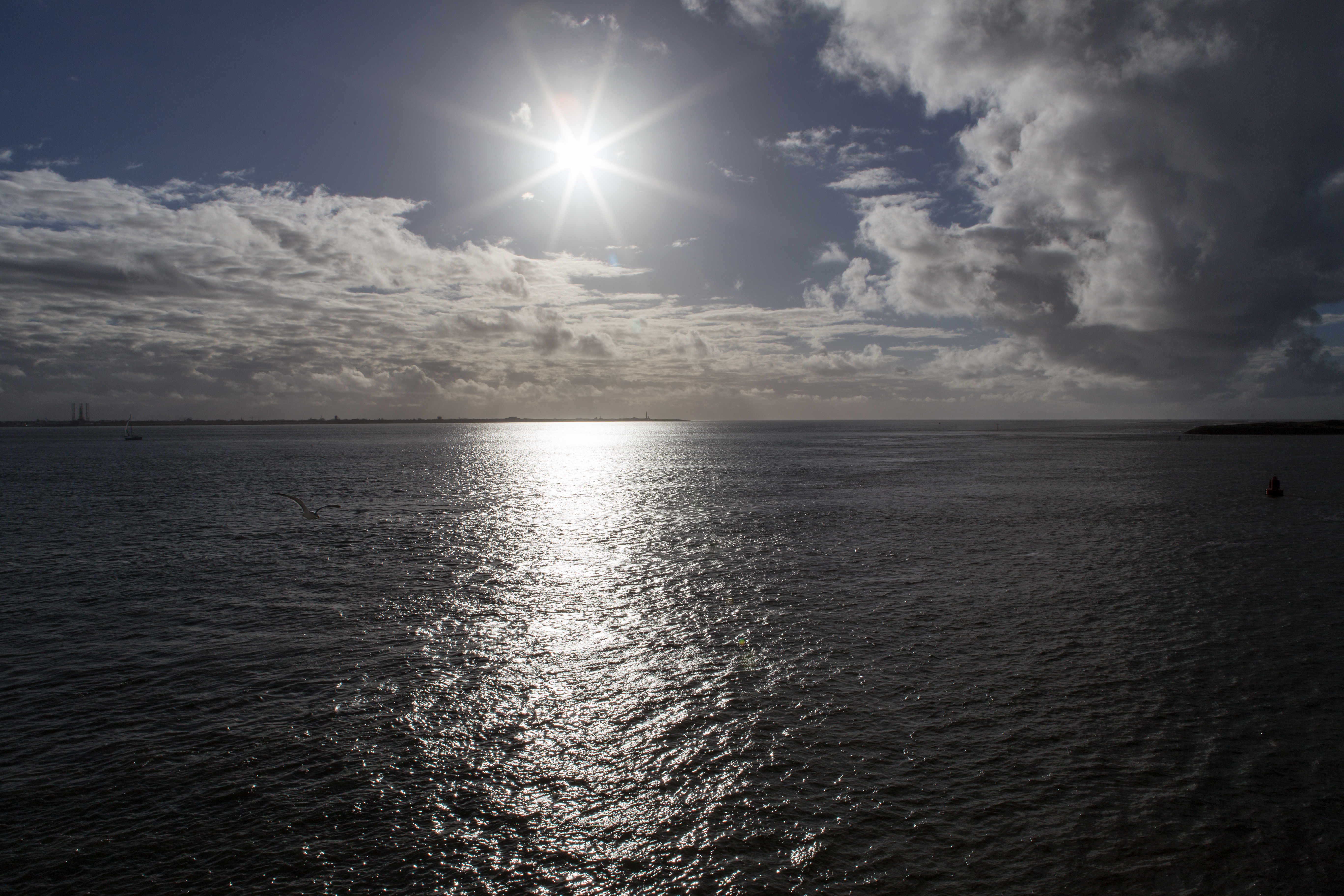 TESO Koninklijke Texels Eigen Stoomboot Onderneming