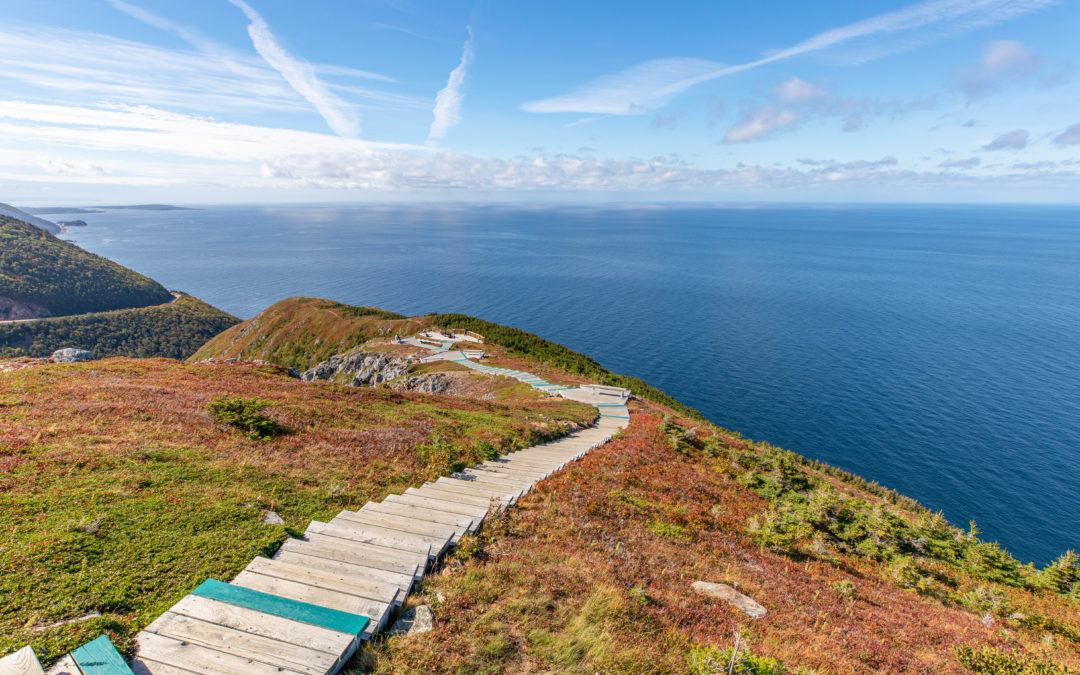 Skyline Trail