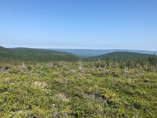 Mica Hill Trail