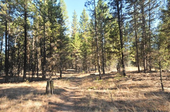 Johnstone Creek Provincial Park