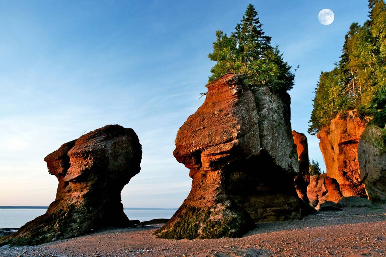 Bay Of Fundy
