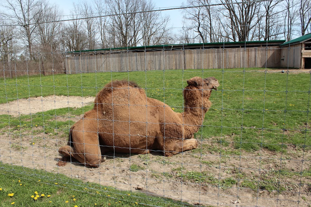 Brantford Twin Valley Zoo