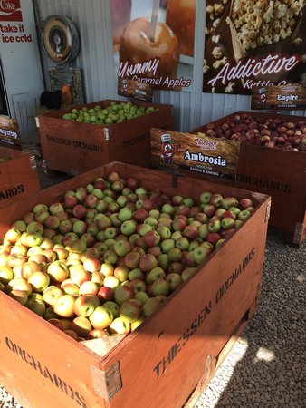 Thiessen Orchards