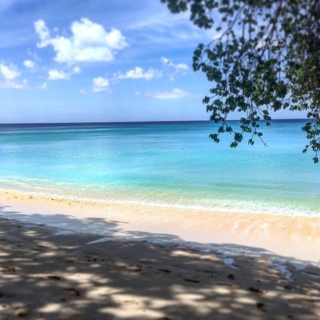 Gibbs Beach