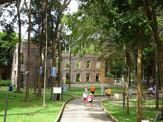Farley Hill National Park