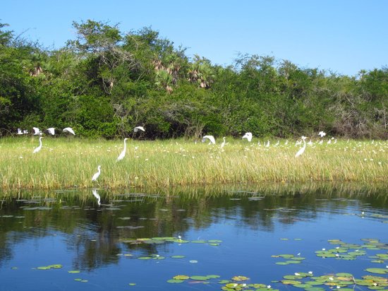 Crooked Tree Wildlife Sanctuary