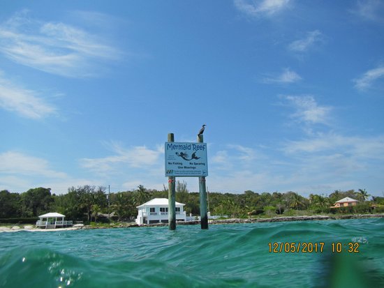 Mermaid Reef