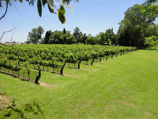 Reserva Privada El Potrero