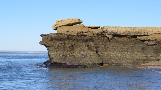 Reserva Provincial Peninsula Puerto San Julian