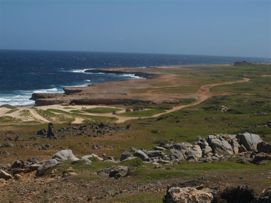 Aruba Trail Runner's