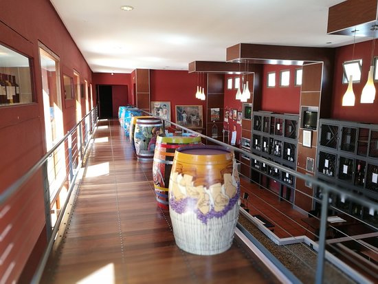 Museo de la Vid y el Vino