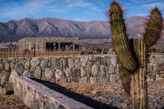 Estancia Los Cardones