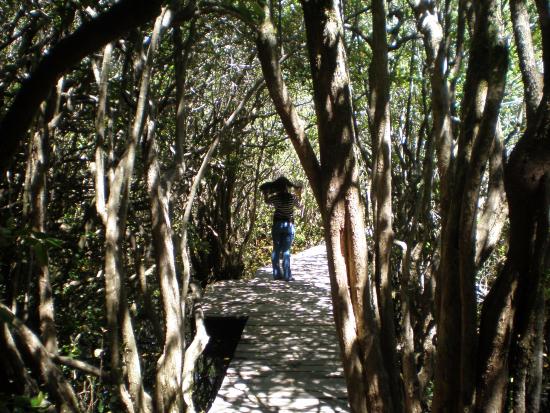 Paseo de Los Pioneros