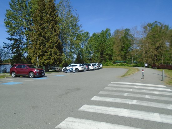 Fraser Foreshore Park