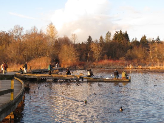 Burnaby Lake Regional Nature Park