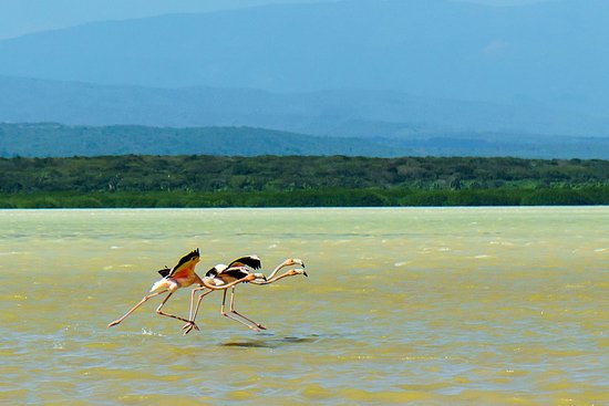 Laguna de Oviedo