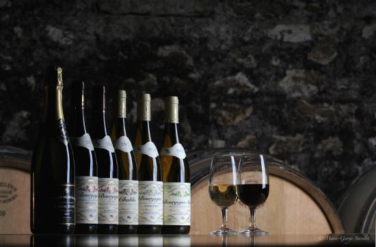Domaine Pascal Henry